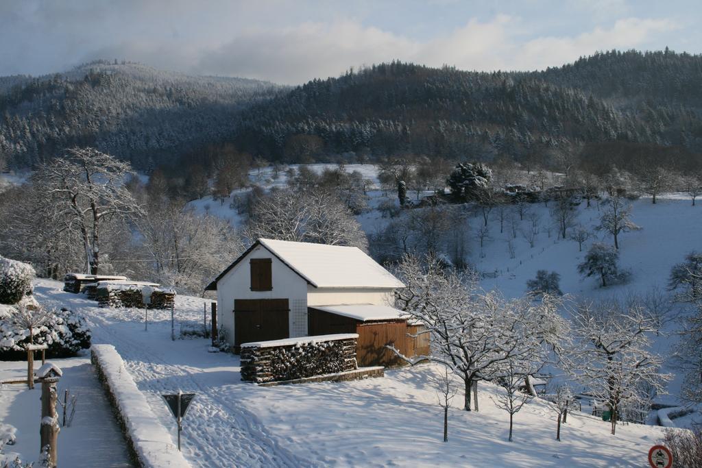 Bella Natura Loffenau Dış mekan fotoğraf