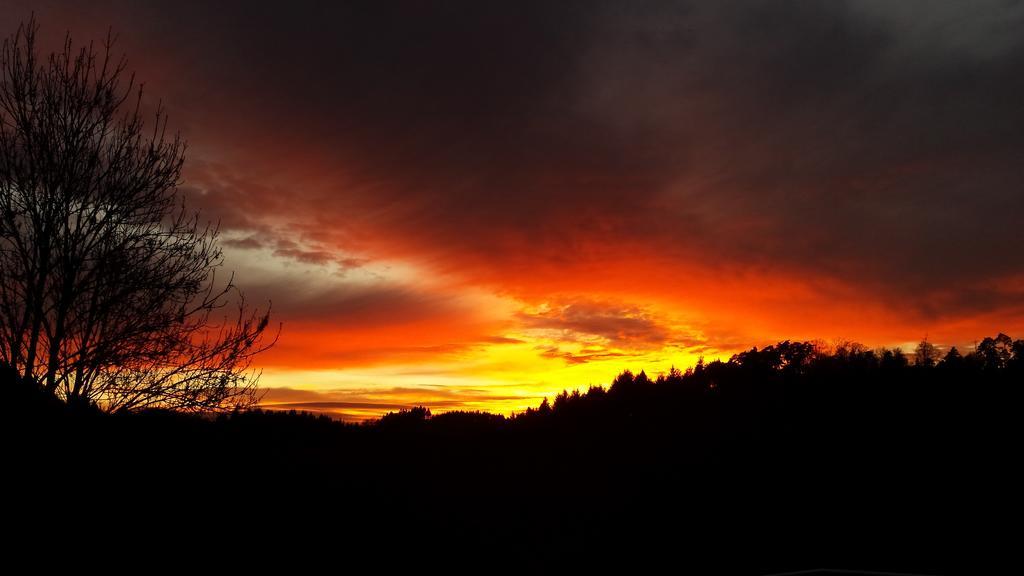 Bella Natura Loffenau Dış mekan fotoğraf